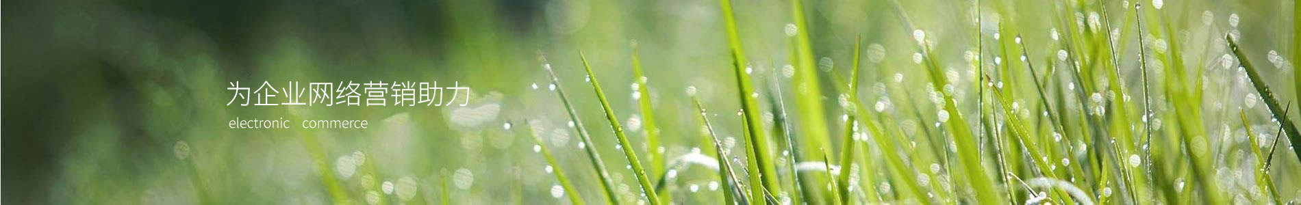 ĳũʳƷ޹˾